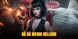 đá gà WS168 Hello88