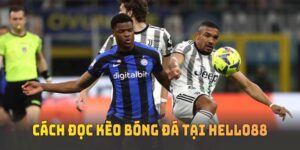 Cách đọc kèo bóng đá